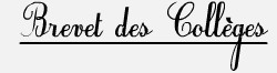 Brevet blanc
